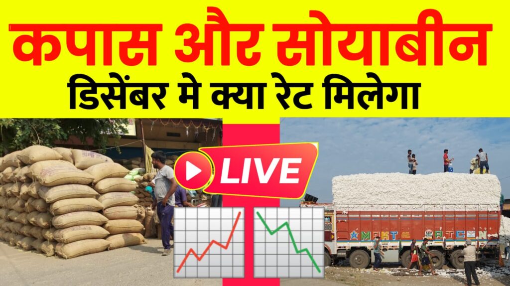 कॉटन न्यूज़; दिसंबर में कॉटन और सोयाबीन कितने के मिलेंगे….
