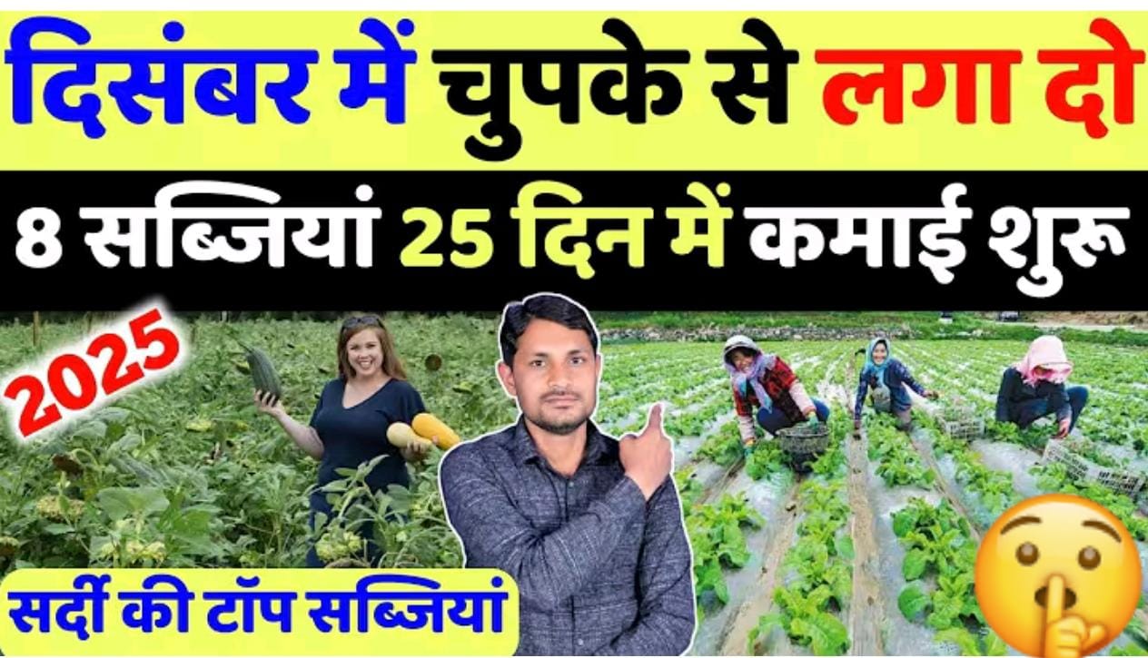दिसंबर मे लगायें ये सब्जीया